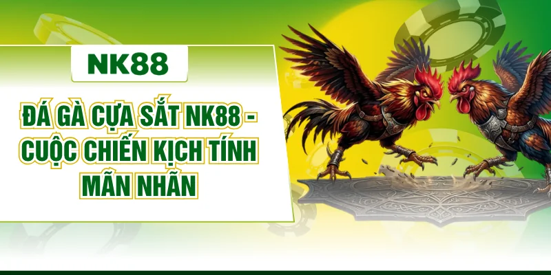 Đá Gà Cựa Sắt Nk88 - Cuộc Chiến Kịch Tính Mãn Nhãn