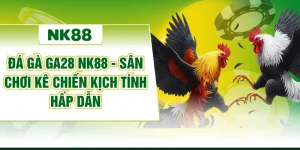 Đá Gà GA28 NK88 - Sân Chơi Kê Chiến Kịch Tính Hấp Dẫn