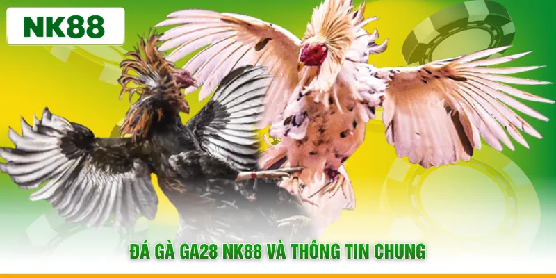 Đá gà GA28 NK88 và thông tin chung