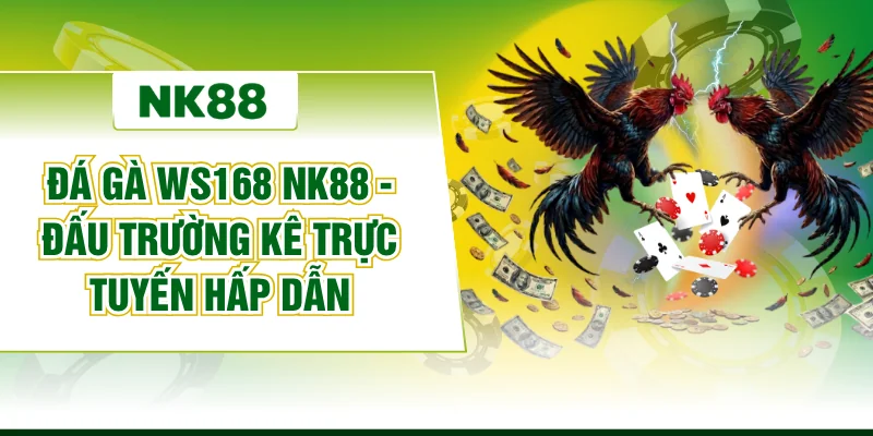 Đá Gà WS168 NK88 - Đấu Trường Kê Trực Tuyến Hấp Dẫn