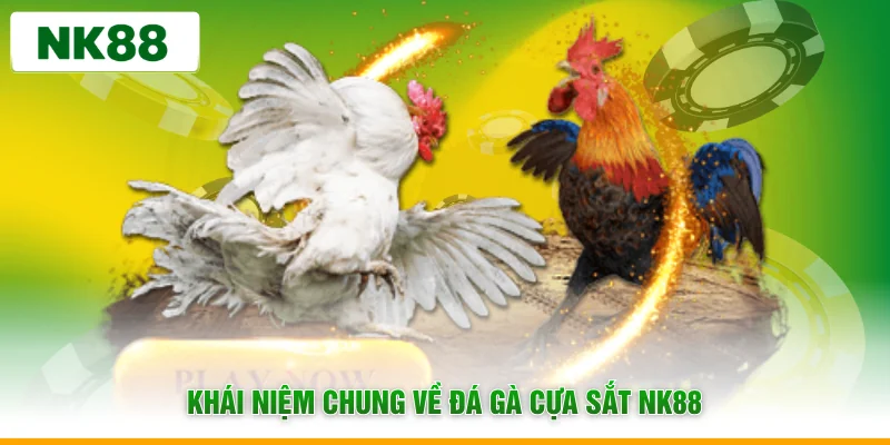 Khái niệm chung về đá gà cựa sắt NK88