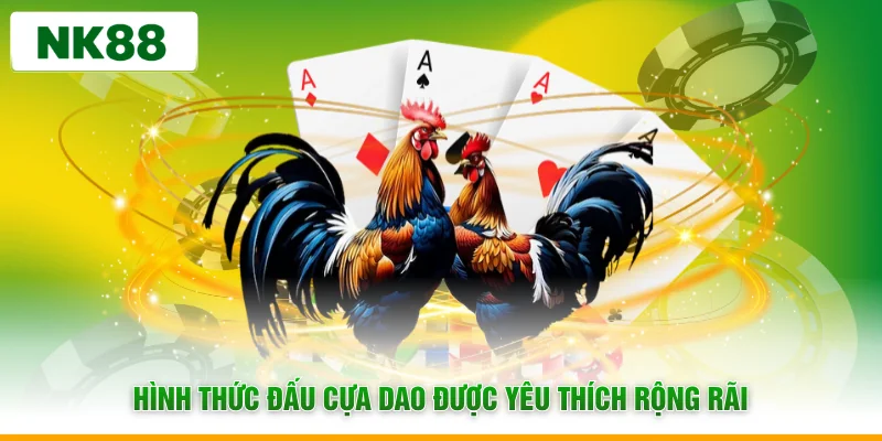 Hình thức đấu cựa dao được yêu thích rộng rãi